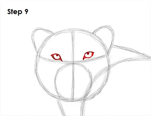 Snow Leopard Drawing 9 Draw Snow Leopard 9
