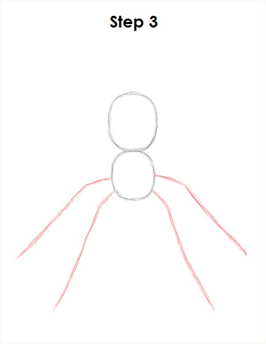 Spider Drawing 3 Draw Spider 3