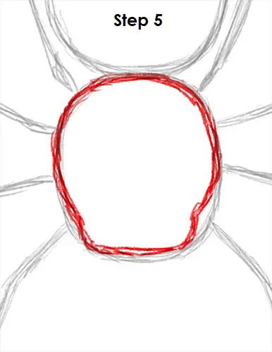 Spider Drawing 5 Draw Spider 5