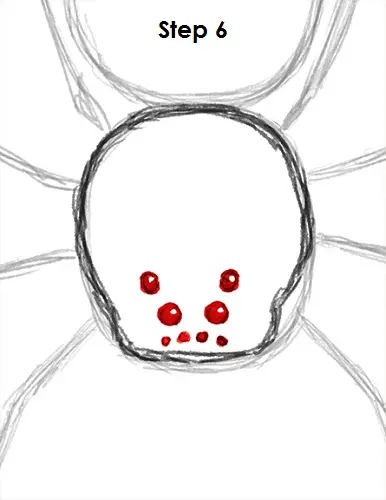 Spider Drawing 6 Draw Spider 6