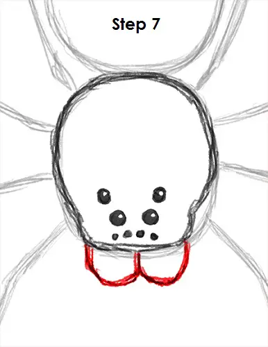 Spider Drawing 7 Draw Spider 7