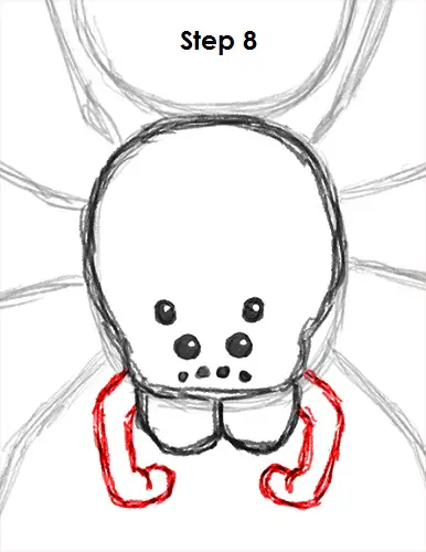Spider Drawing 8 Draw Spider 8