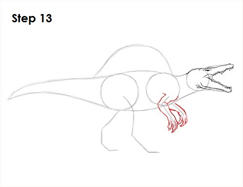 Spinosaurus Dinosaur Drawing 13 Draw Spinosaurus Dinosaur 13