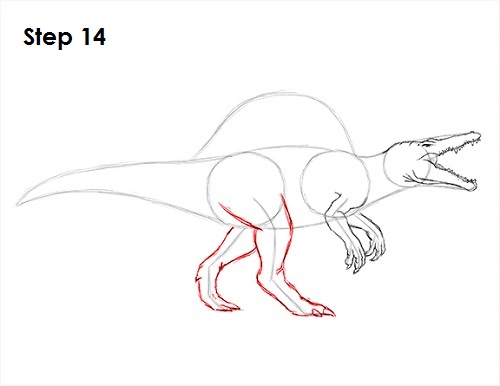 Spinosaurus Dinosaur Drawing 14 Draw Spinosaurus Dinosaur 14