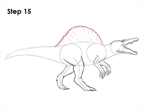 How to Draw a Spinosaurus Dinosaur