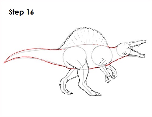 Spinosaurus Dinosaur Drawing 16 Draw Spinosaurus Dinosaur 16