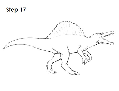 Spinosaurus Dinosaur Drawing 17 Draw Spinosaurus Dinosaur 17