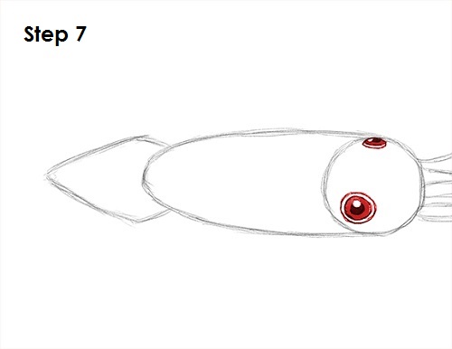 Squid Drawing 7 Draw Squid 7