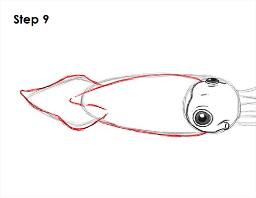 Squid Drawing 9 Draw Squid 9