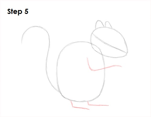 how to draw a squirrel