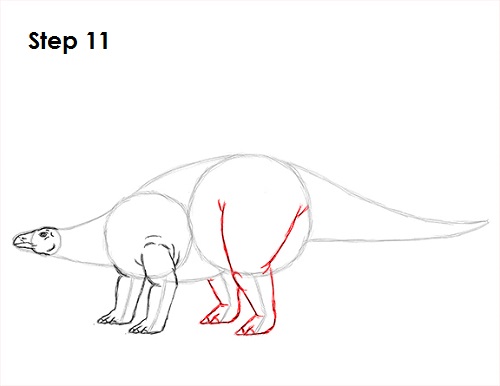 Stegosaurus Dinosaur Drawing 11 Draw Stegosaurus 11