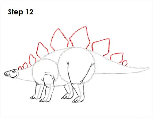 Stegosaurus Dinosaur Drawing 12 Draw Stegosaurus 12