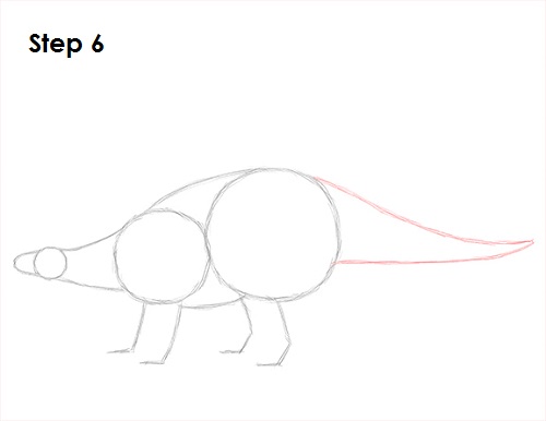 Stegosaurus Dinosaur Drawing 6 Draw Stegosaurus 6