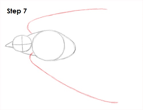 Swallow Bird 7 Draw Swallow Bird 7