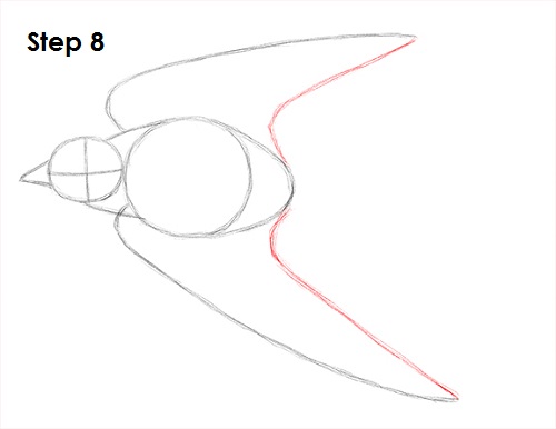 Swallow Bird 8 Draw Swallow Bird 8