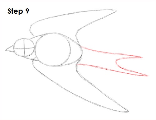 Swallow Bird 9 Draw Swallow Bird 9