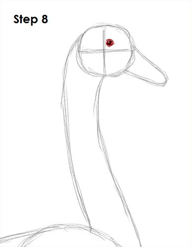 draw swan 8