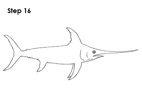 How to Draw a Swordfish