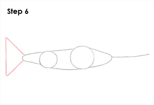 Swordfish Drawing 6 Draw Swordfish 6