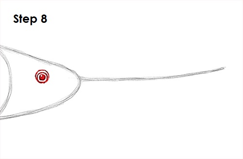 Swordfish Drawing 8 Draw Swordfish 8