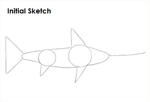 Swordfish Drawing Sketch Draw Swordfish Sketch
