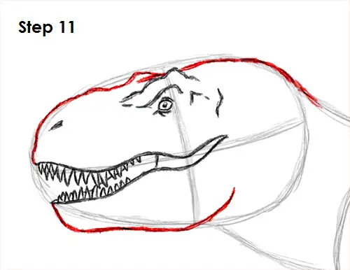 T. Rex Drawing 11 Draw Tyrannosaurus Rex 11
