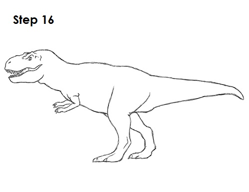T. Rex Drawing 16 Draw Tyrannosaurus Rex 16