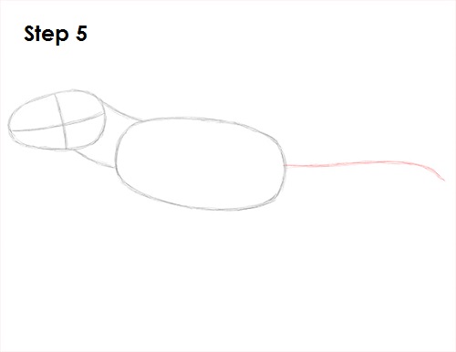 T. Rex Drawing 5 Draw Tyrannosaurus Rex 5