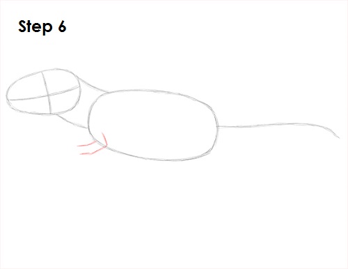 T. Rex Drawing 6 Draw Tyrannosaurus Rex 6