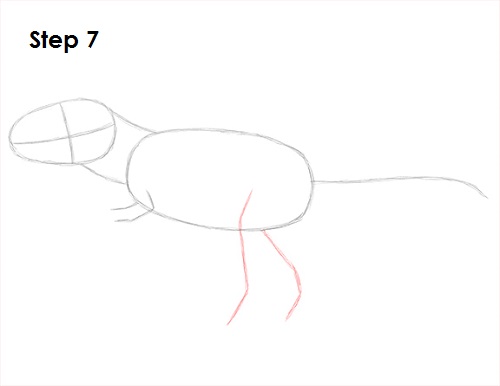 T. Rex Drawing 7 Draw Tyrannosaurus Rex 7