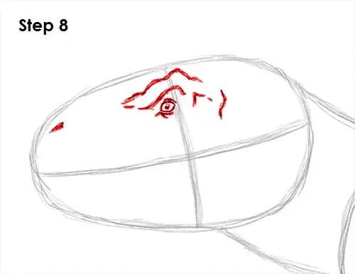 T. Rex Drawing 8 Draw Tyrannosaurus Rex 8