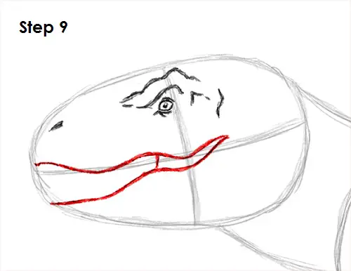 T. Rex Drawing 9 Draw Tyrannosaurus Rex 9