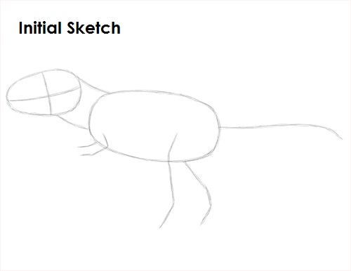 T. Rex Drawing Sketch Draw Tyrannosaurus Rex Sketch