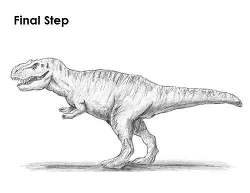 T. Rex Drawing Final Draw Tyrannosaurus Rex Final