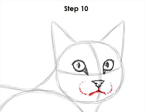 Tabby Cat Drawing 10 Draw Tabby Cat 10