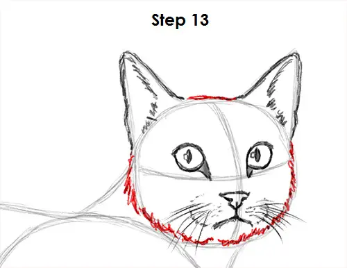 Tabby Cat Drawing 13 Draw Tabby Cat 13