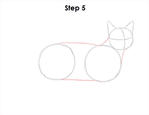 Tabby Cat Drawing 5 Draw Tabby Cat 5