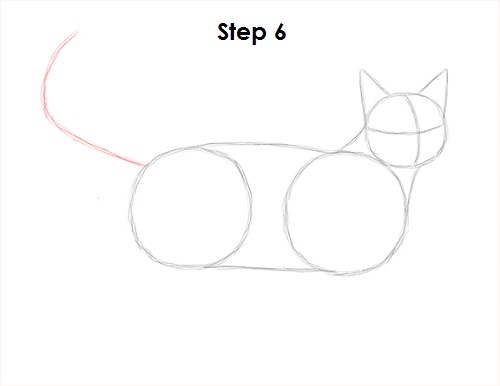 Tabby Cat Drawing 6 Draw Tabby Cat 6