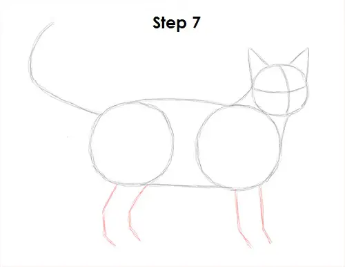 Tabby Cat Drawing 7 Draw Tabby Cat 7