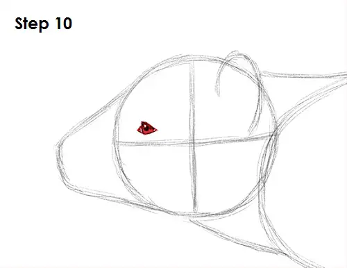 Tasmanian Devil Drawing 10 Draw Tasmanian Devil 10