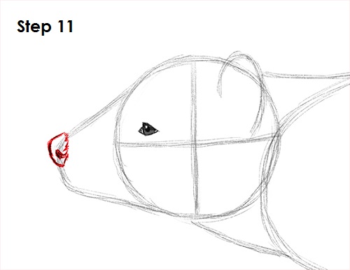 Tasmanian Devil Drawing 11 Draw Tasmanian Devil 11