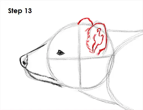Tasmanian Devil Drawing 13 Draw Tasmanian Devil 13