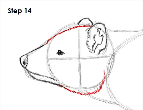 Tasmanian Devil Drawing 14 Draw Tasmanian Devil 14