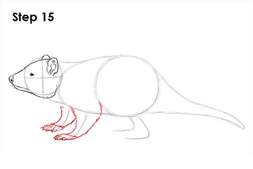Tasmanian Devil Drawing 15 Draw Tasmanian Devil 15