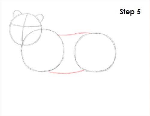 Tiger Drawing 5 Draw Tiger 5