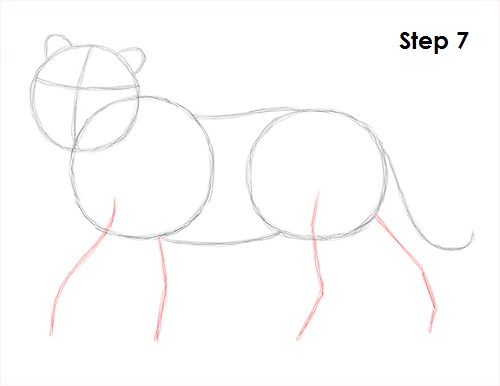 Tiger Drawing 7 Draw Tiger 7