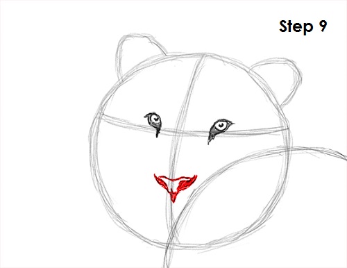 Tiger Drawing 9 Draw Tiger 9