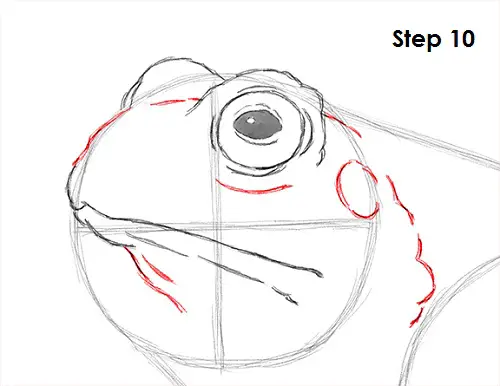 Toad Drawing 10 Draw Toad 10