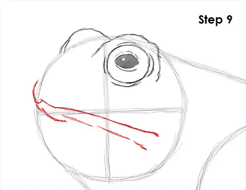 Toad Drawing 9 Draw Toad 9