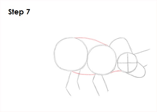Triceratops Drawing 7 Draw Triceratops 7
